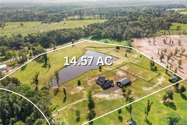 4378 Buie Rd, New Diana, TX 75640 - photo 50