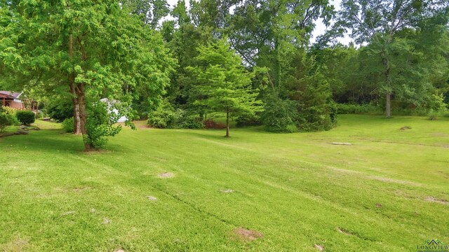 329 Corrine Pl, Waskom, TX 75692 - photo 30