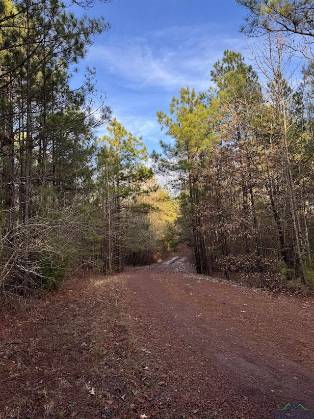 view of local wilderness