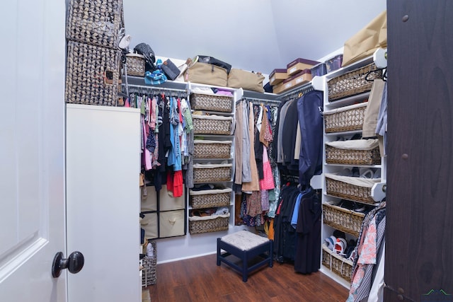 spacious closet featuring wood-type flooring