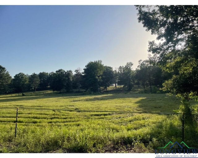 view of yard featuring a rural view