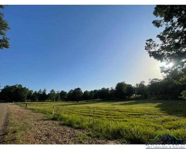 view of yard featuring a rural view