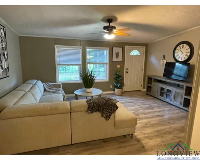 living room with wood-type flooring, a textured ceiling, and ornamental molding