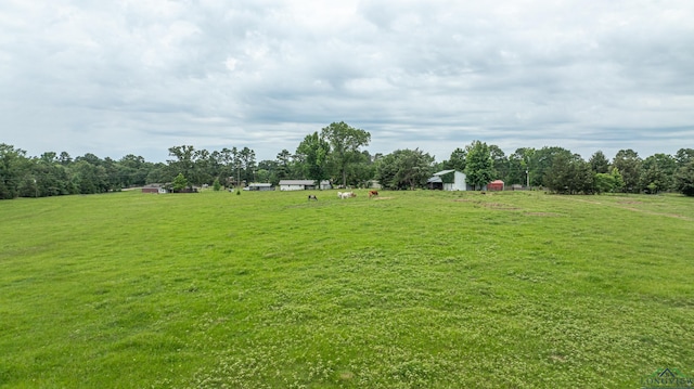 view of yard featuring a rural view