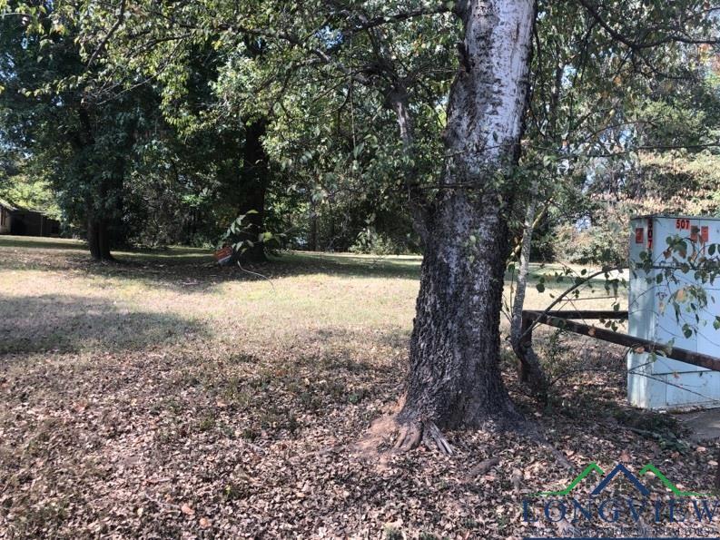 507 S Harrison St, Longview, TX 75601 - photo 3