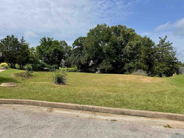 212 Shanna Ter, Lindale, TX 75771 - photo 1