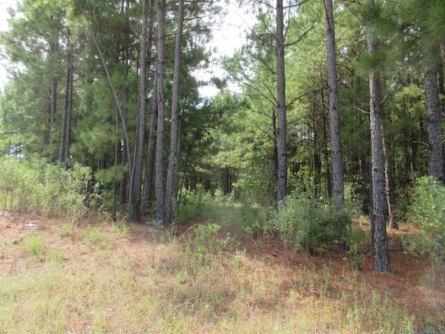 TBD George Richey, Longview, TX 75605 - photo 12