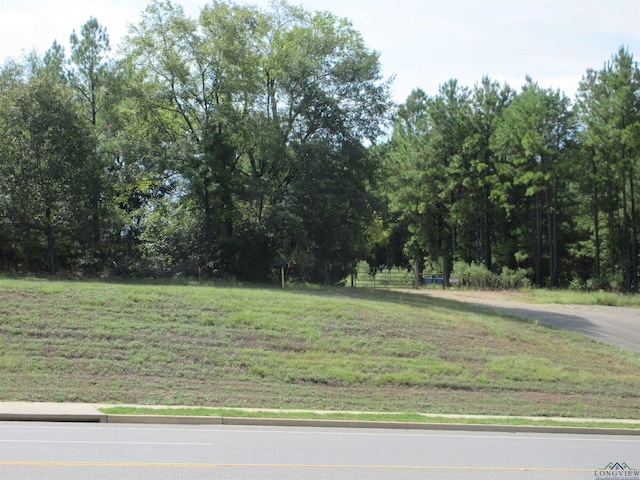 TBD George Richey, Longview, TX 75605 - photo 3