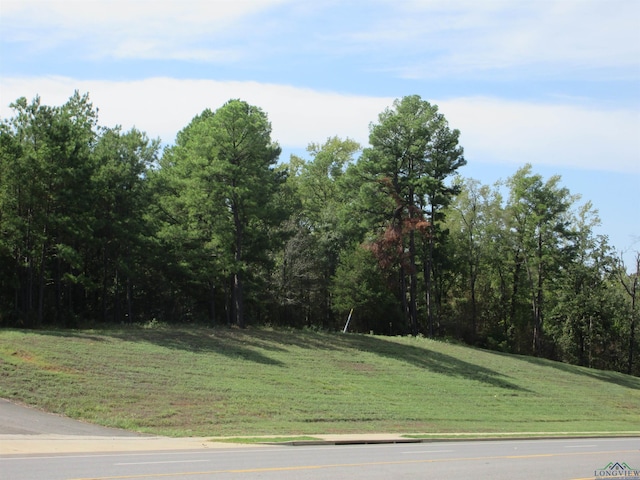TBD George Richey, Longview, TX 75605 - photo 6