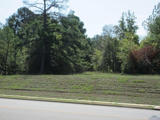 TBD George Richey, Longview TX, 75605 land for sale