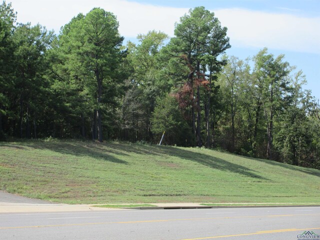 TBD George Richey, Longview, TX 75605 - photo 5