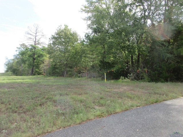 TBD George Richey, Longview, TX 75605 - photo 9