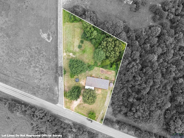 2428 Fm 2088, Gilmer, TX 75644 - photo 35