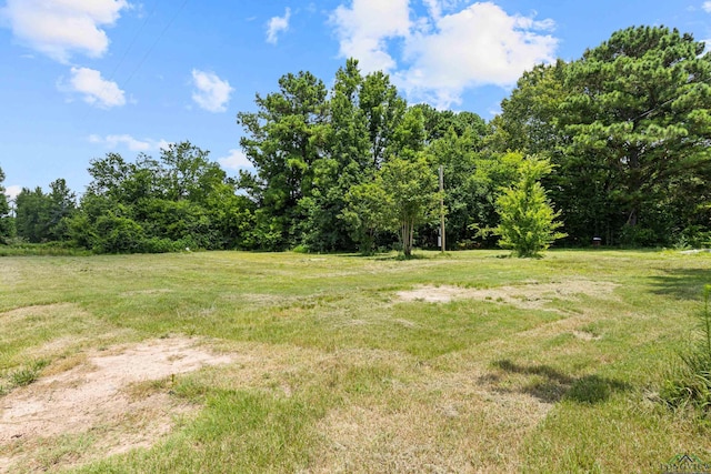 2428 Fm 2088, Gilmer, TX 75644 - photo 32