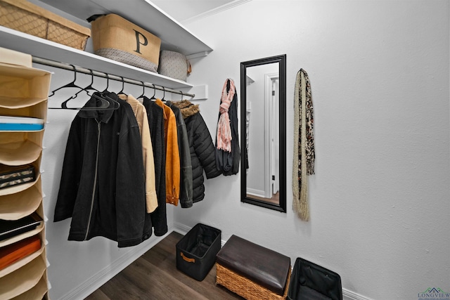 spacious closet featuring wood-type flooring