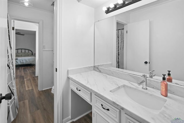 bathroom with hardwood / wood-style flooring and vanity