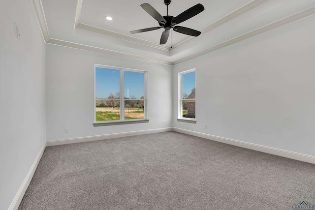 spare room with carpet, a raised ceiling, ceiling fan, and crown molding