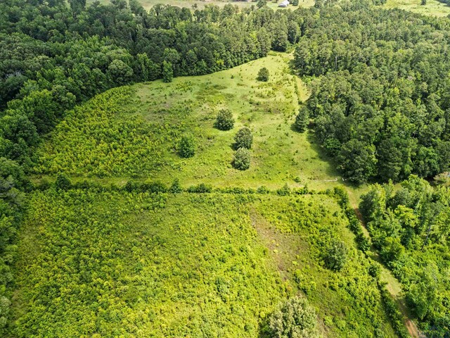 TBD Fm 968, Hallsville, TX 75650 - photo 10