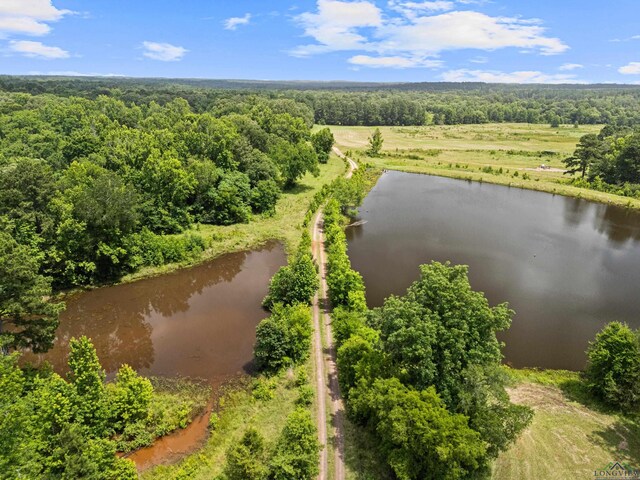 TBD Fm 968, Hallsville, TX 75650 - photo 8