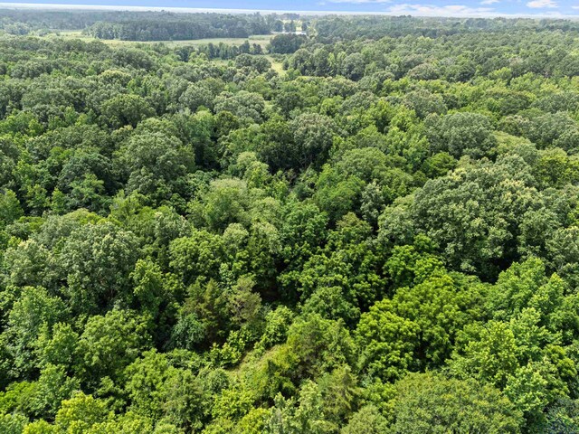 TBD Fm 968, Hallsville, TX 75650 - photo 14