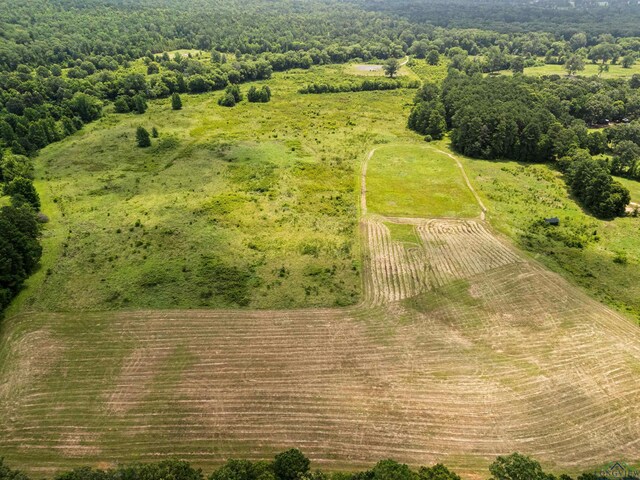 TBD Fm 968, Hallsville, TX 75650 - photo 9
