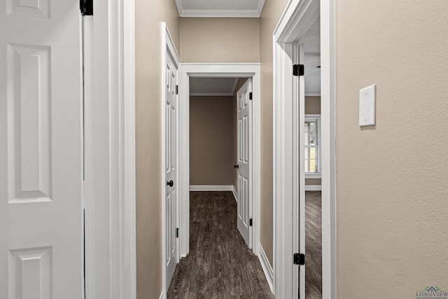 corridor featuring dark hardwood / wood-style flooring and crown molding