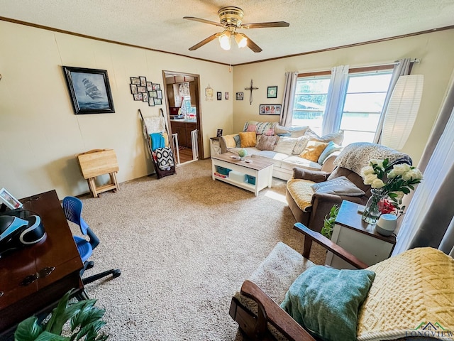 carpeted living room with ceiling fan, ornamental molding, and a textured ceiling