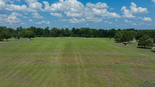 322 Roy Green Rd, Longview, TX 75602 - view of green lawn featuring a rural view