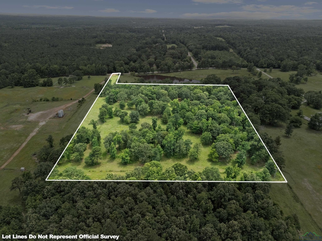 TBD Old Jefferson Rd, Jefferson, TX 75657 - photo 1