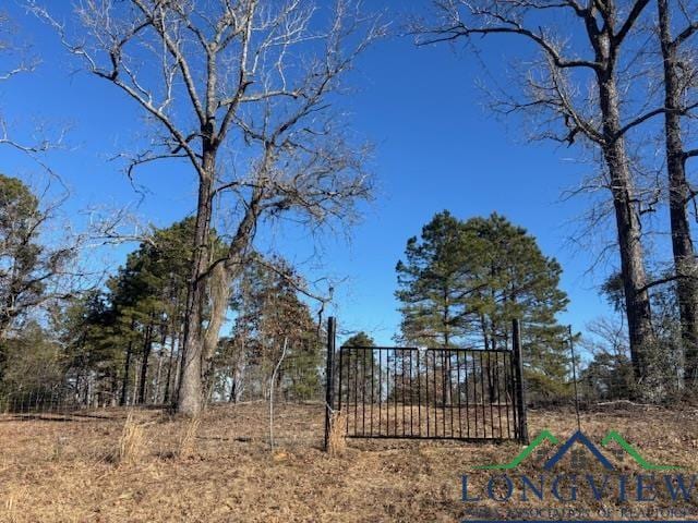 Listing photo 2 for TBD Frances Lane, Diana TX 75640