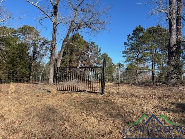 TBD Frances Lane, Diana TX, 75640 land for sale