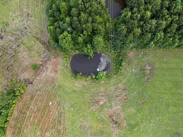 TBD Crystal Farms Road, Tatum, TX 75691 - photo 19