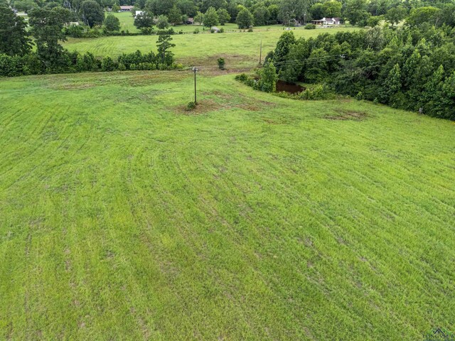 TBD Crystal Farms Road, Tatum, TX 75691 - photo 14