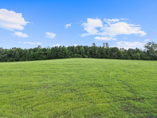 TBD Crystal Farms Road, Tatum, TX 75691 - photo 5