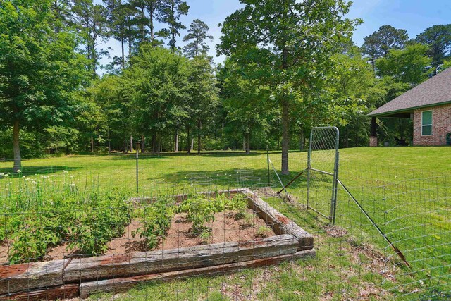 view of yard with a vegetable garden