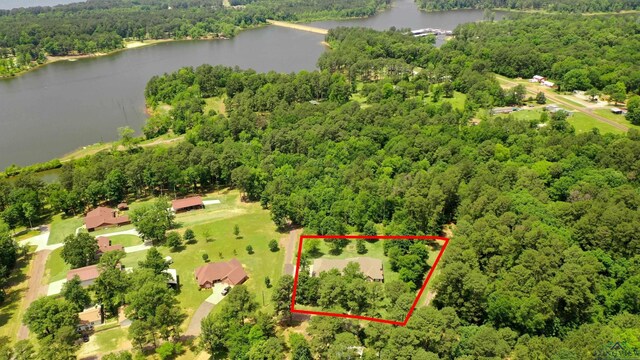drone / aerial view featuring a water view and a view of trees