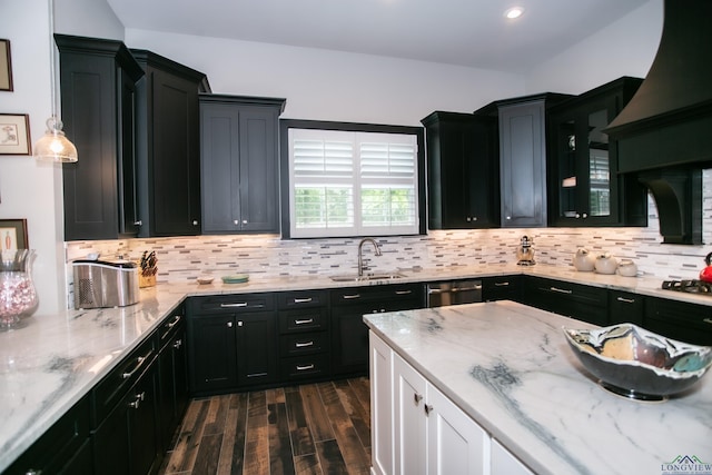 kitchen featuring a sink, dark wood-style floors, dark cabinets, and stainless steel dishwasher