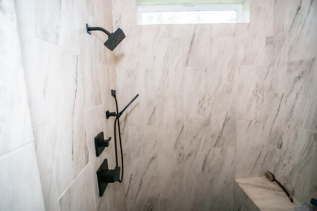 room details with tiled shower