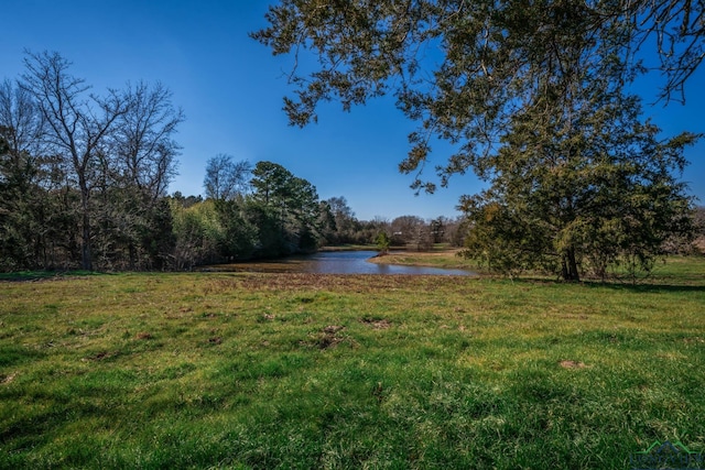 view of yard featuring a water view