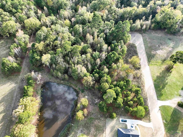TBD Armadillo Rd, Gilmer, TX 75644