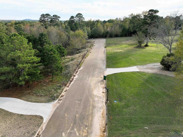 TBD Armadillo Rd, Gilmer, TX 75644