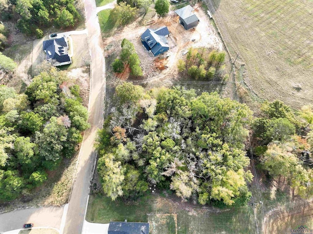 TBD Armadillo Rd, Gilmer, TX 75644