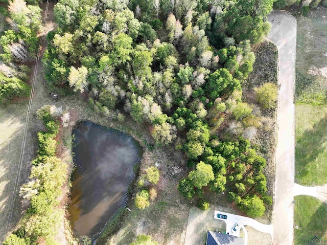 TBD Armadillo Rd, Gilmer, TX 75644