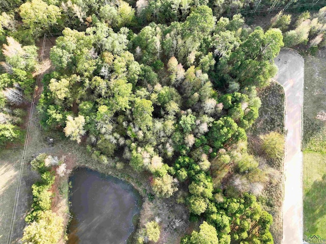 TBD Armadillo Rd, Gilmer, TX 75644