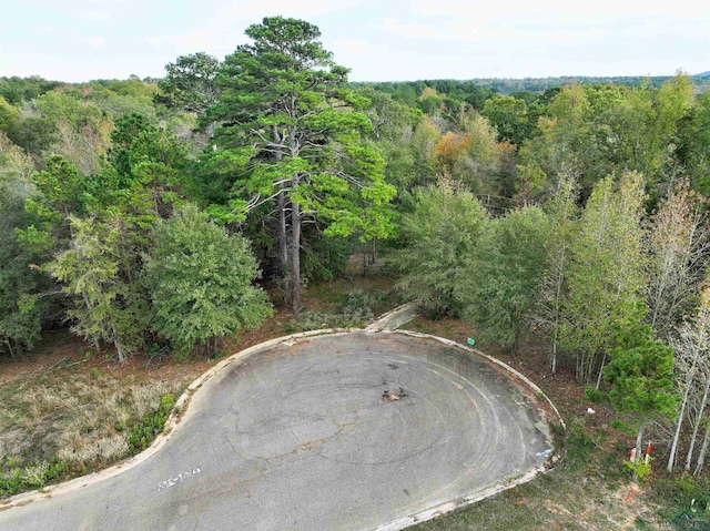TBD Armadillo Rd, Gilmer, TX 75644