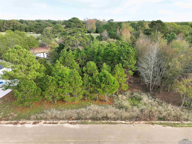 TBD Armadillo Rd, Gilmer, TX 75644