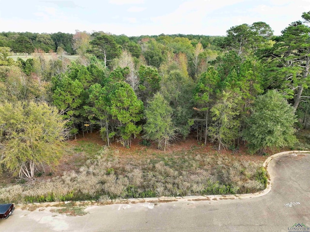 TBD Armadillo Rd, Gilmer, TX 75644
