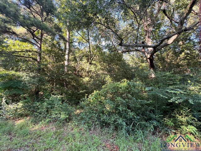 TBD Fm 999, Gary, TX 75643 - photo 3