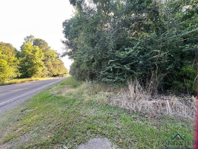 TBD Fm 999, Gary, TX 75643 - photo 4