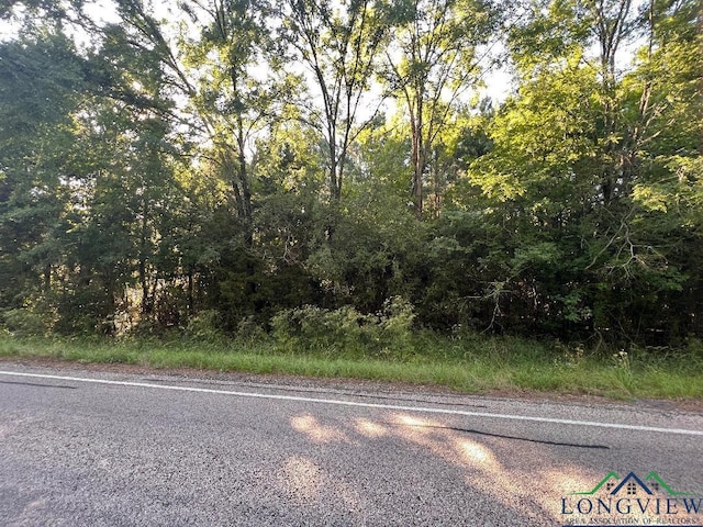 TBD Fm 999, Gary, TX 75643 - photo 5